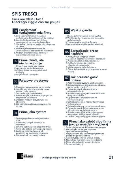 Firma Jako Całość. Tom 1: Dlaczego Ciągle Coś Się Psuje?